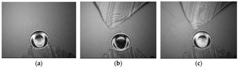 Effects of Oil Supply Condition on Spinning–Sliding EHL