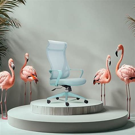 DROGO Premium Ergonomic Office Chair for Work from Home, High Back ...