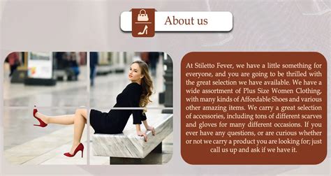 Company Overview - STILETTO FEVER LLC