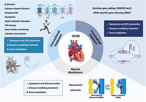 Revisiting Diagnosis and Treatment of Hypertrophic Cardiomyopathy ...