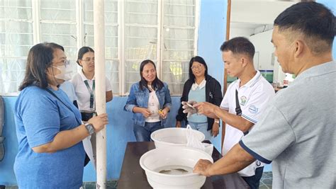 Iriga: BFAR 5 DRIVES TILAPIA FARMING INNOVATION WITH TRAINER’S TRAINING ON BROODSTOCK ...