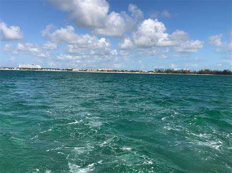 REEF TOURS (2026) All You Need to Know BEFORE You Go (with Photos ...