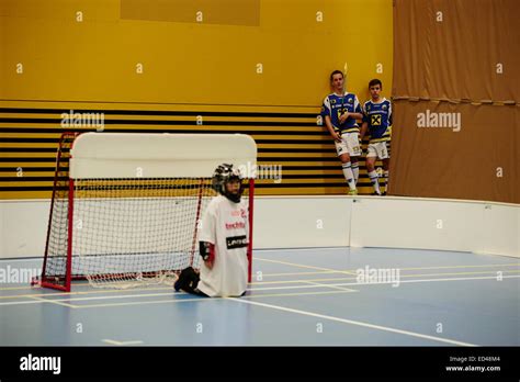 Floor Hockey 的图像结果