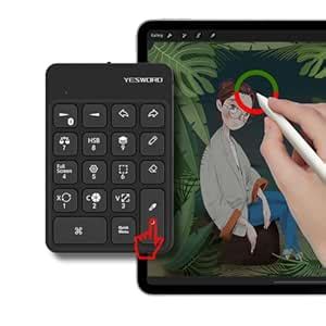 Amazon.in: Buy YESWORD X-18 Keyboard for The Latest Procreate,for All ...
