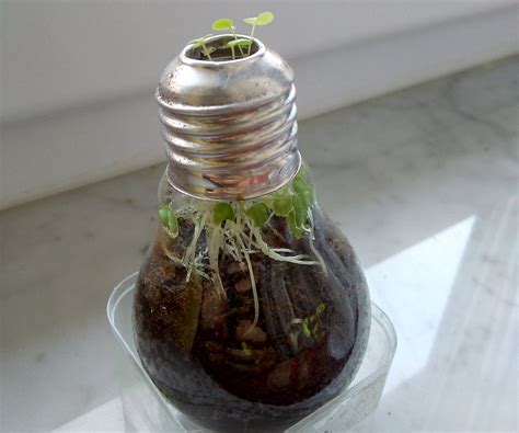 Image result for Using a Bulb Planter