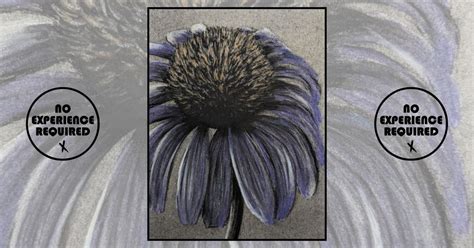 Charcoal Drawing Event "Coneflower" in Baraboo, Dell Pines Campground ...