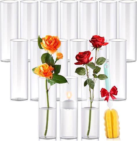 Amazon.com: 16Pcs Glass Cylinder Bud Vases for Centerpieces,7.7 In Tall ...