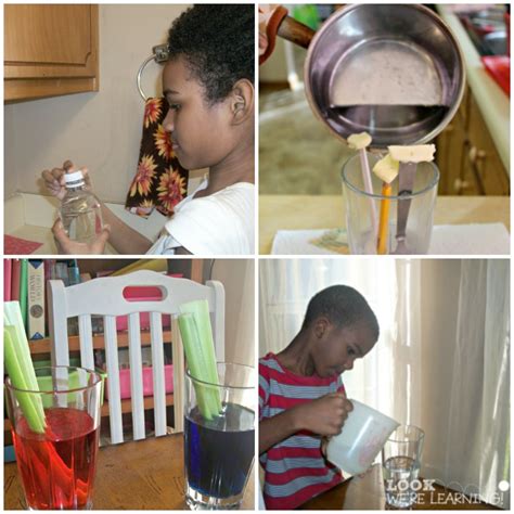 One Minute Science Experiments 的图像结果