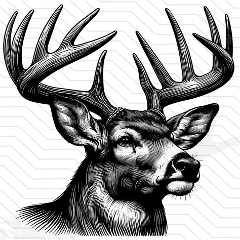 Detailed deer head svg whitetail deer svg big buck digital download ...