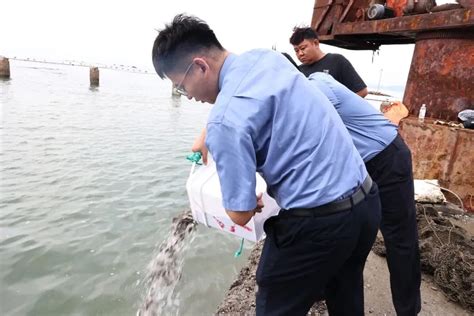 威海市海洋发展局 要闻 2022中国·威海第三届海洋放鱼节盛大启幕