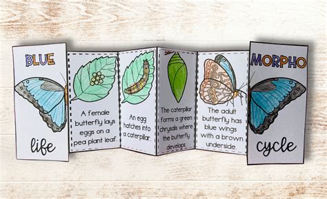 Image result for Science Foldable Templates