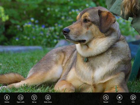 Window 8 Camera Tutorial 的图像结果