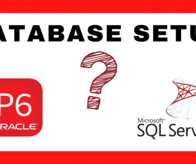 Image result for P6 Database