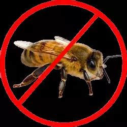 Pest-oo Control Tamilnadu Branch - Termite Control Services in Tamilnadu