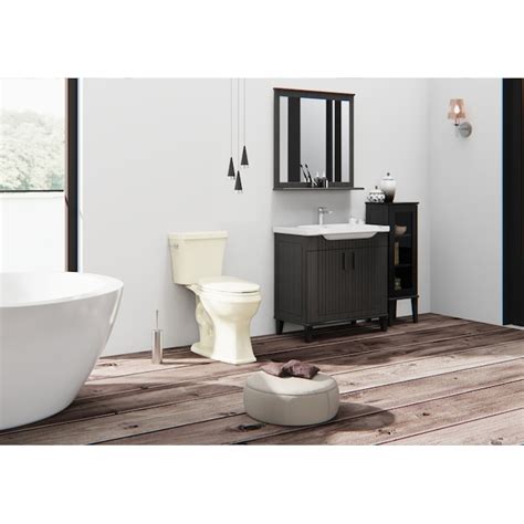 Project Source Danville Oyster Elongated Chair Height 2-piece Toilet 12 ...