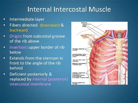Image result for Critical Reflection Paper Example APA Style