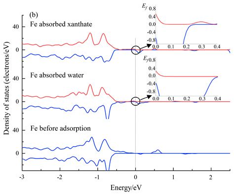 Activation of Dolomite Flotation by Ferrous Hydroxide and Carbonate