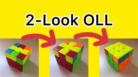 Oll Tutorial 的图像结果