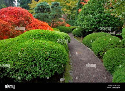 Image result for Step by Step Krushkal Algorithm Example