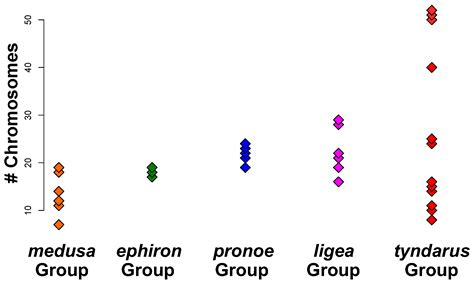 Evolutionary Mechanisms of Varying Chromosome Numbers in the Radiation ...