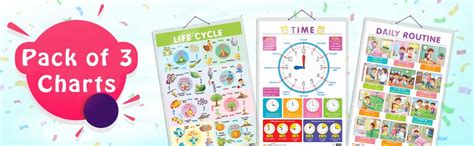 Buy Set of 3 Life Cycle, TIME and DAILY ROUTINE Early Learning ...