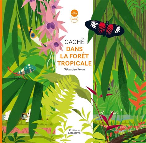 Amazon.in: Buy Cache dans la foret tropicale Book Online at Low Prices ...