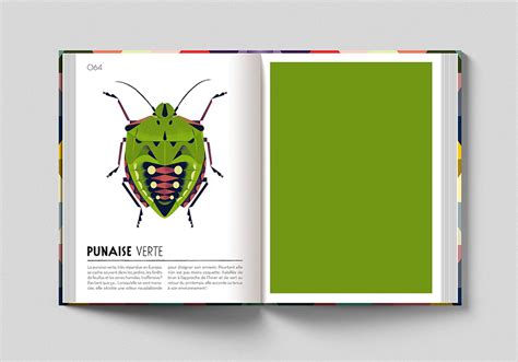 Image result for Colorama Albums