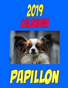 2019 Calendar Papillon: Dog weekly calendar, personal contacts list ...
