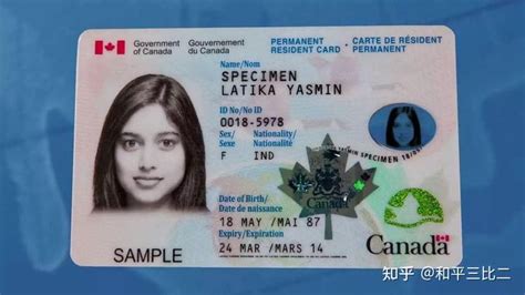 加拿大永久居民卡|枫叶卡英译中翻译件模板及注意事项【盖章标准】