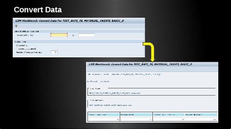 LSMW Vs BAPI 的图像结果