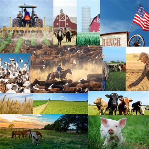 Ranch Vs Farm | What’s the Difference? | Poultry farm, Hobby farms ...