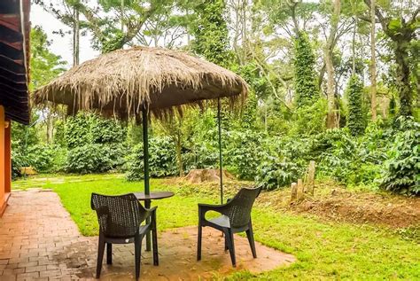 Brindavan Estate Homestay Coorg - Resorts Coorg