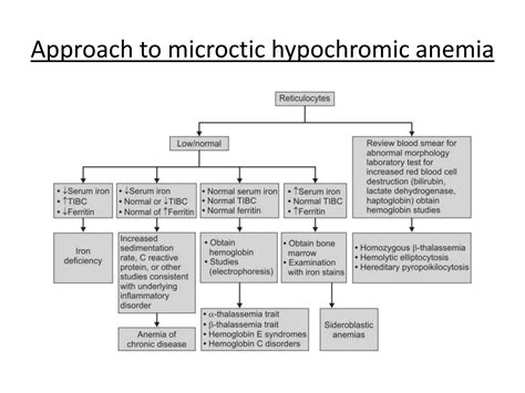 Approach to anemia in children | PPTX