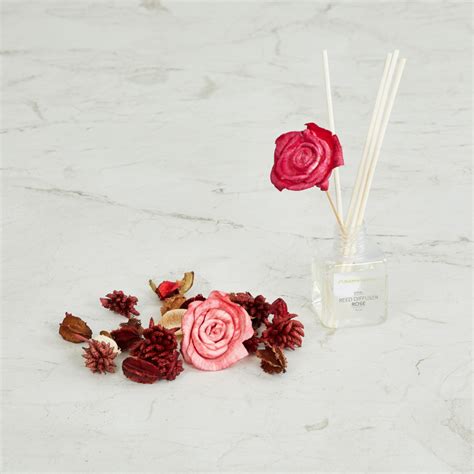 Buy Spinel Set of 2 Pcs - Reed Diffuser and Potpourri - Ceramic - Red ...