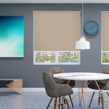 Translucent Roller Blinds Light Filtering Roller Blinds Bangalore ...