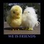 Image result for Funny Easter Quotes Sayings