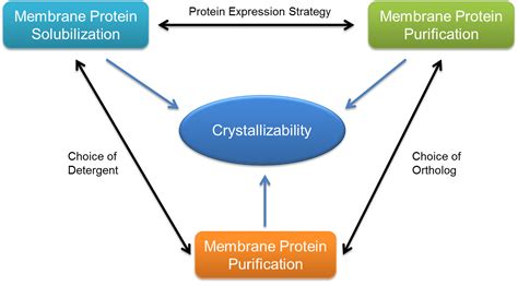 Image result for Protein Crystallization System