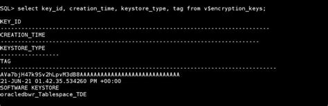 Image result for Oracle Database Encryption Performance