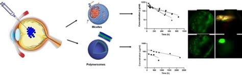 Intravitreal Polymeric Nanocarriers with Long Ocular Retention and ...