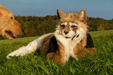 Image result for Java Fur Forge