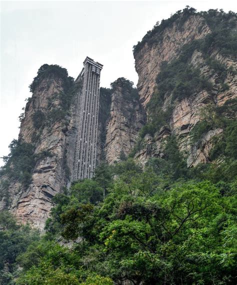 Avatar China 的图像结果