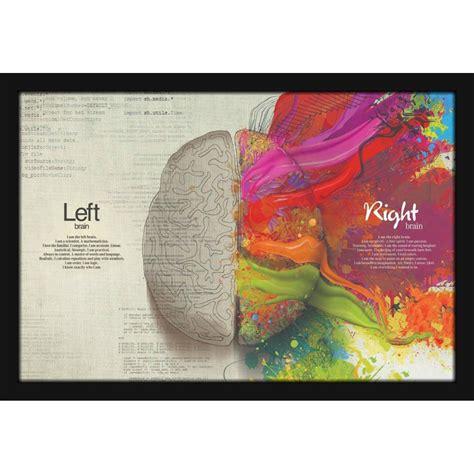 Mad Masters Human Brain Left Right Painting Hanging Photo Frame ...