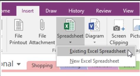 Image result for +Using Excel Spreadsheet in One Note