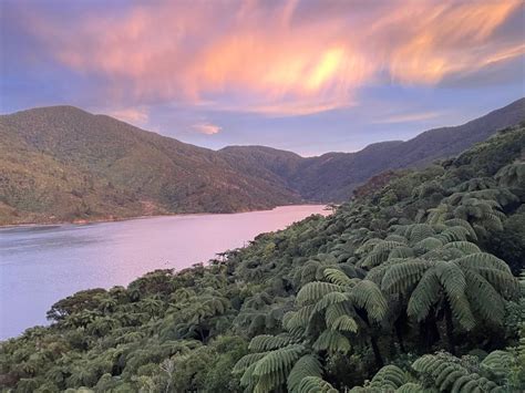 Open Studio - Art on the Track (Biophilic Art and Noticing Nature ...