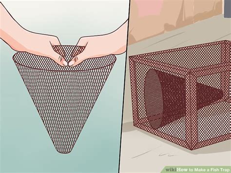 Image result for Using a Fish Trap