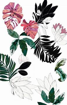 Iphone Aesthetic Wallpaper Tropical by Tropical Camilla Frances Prints Estas Iphone Aesthetic Wallpaper Tropical