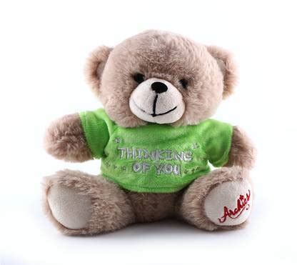 ARCHIES Thinking of You Green Dress Teddy 20cm - 50 cm - Thinking of ...