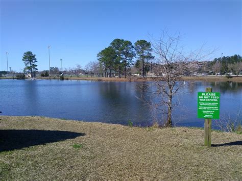 OGDEN PARK - All You SHOULD Know Before Going 2026 (with Photos ...
