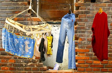 Washing 的图像结果