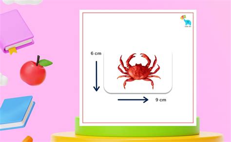 Buy Flash Tots-Sea Creatures Flashcards for Right Brain Education ...